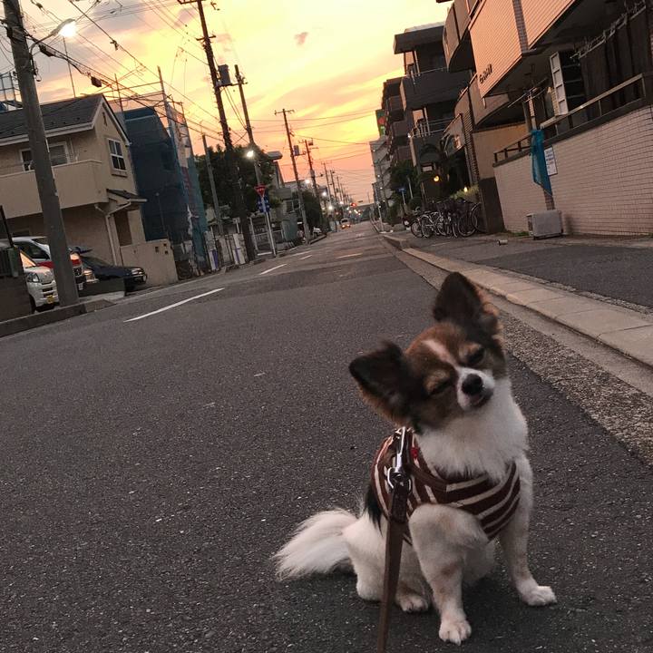 Fa18b34a 73ec 48db b1ea a4cd1108c7f1