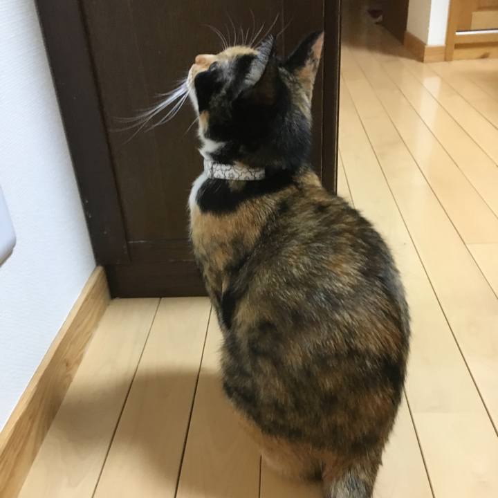 Fa1940e2 6e33 4594 a0fd 47a18506685e