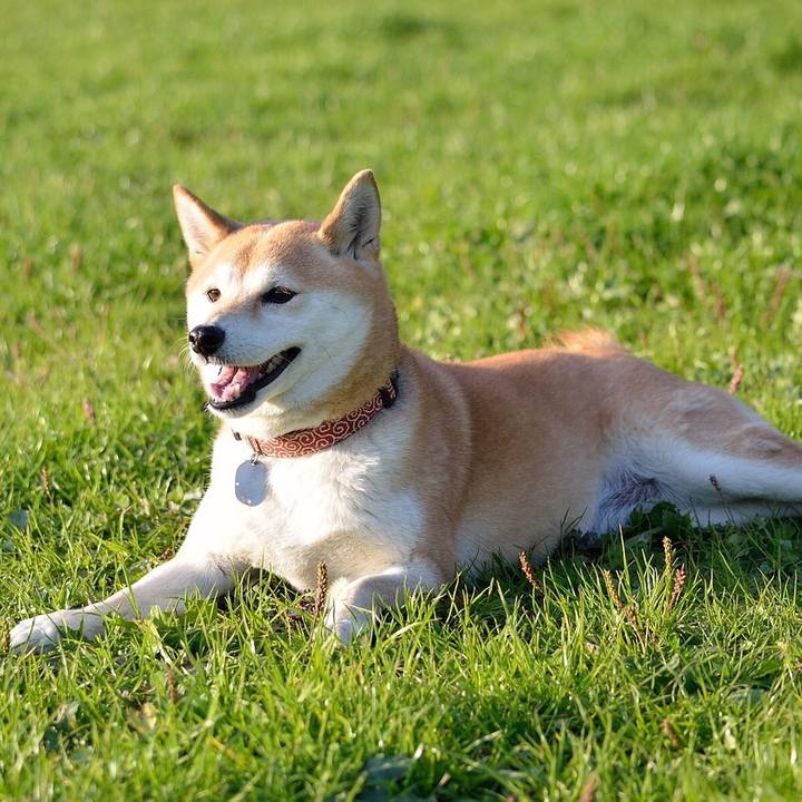 Fa19edca 0e0f 4ea0 b9d4 49a8d15d6cfb