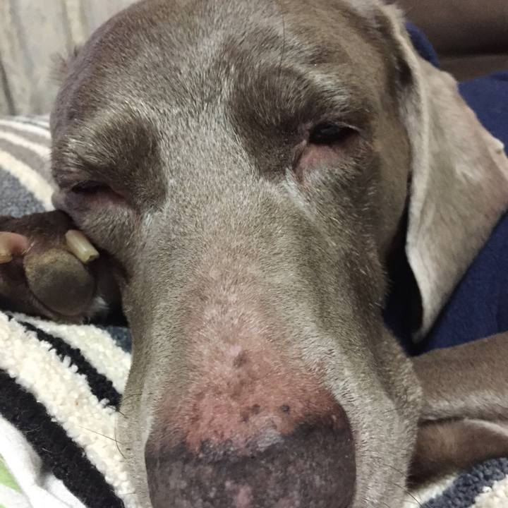 Fa1a465a 25eb 4c36 bc09 472618b4cebf