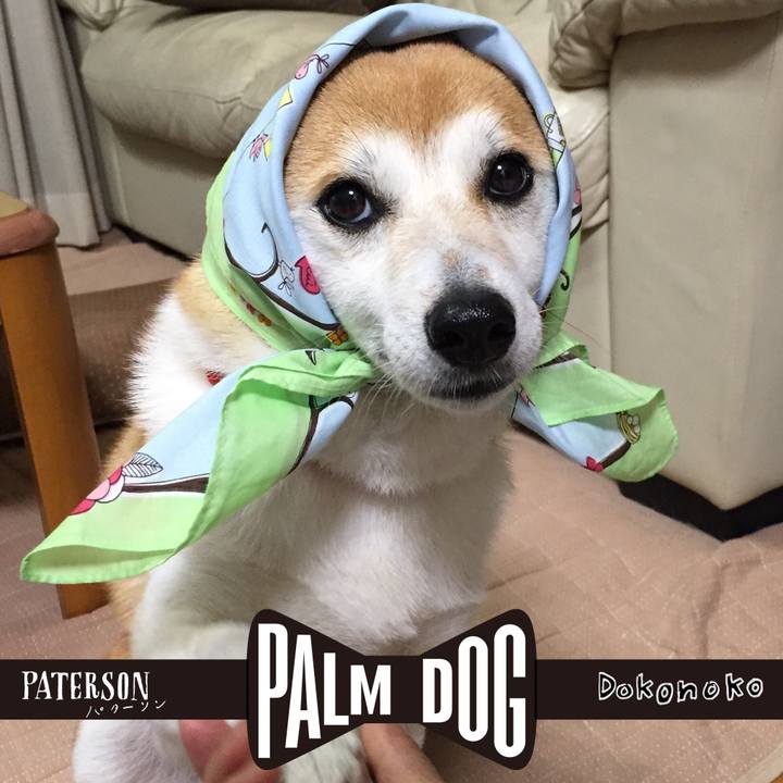 Fa1a4b15 28ec 44d3 abff 118495ae608d