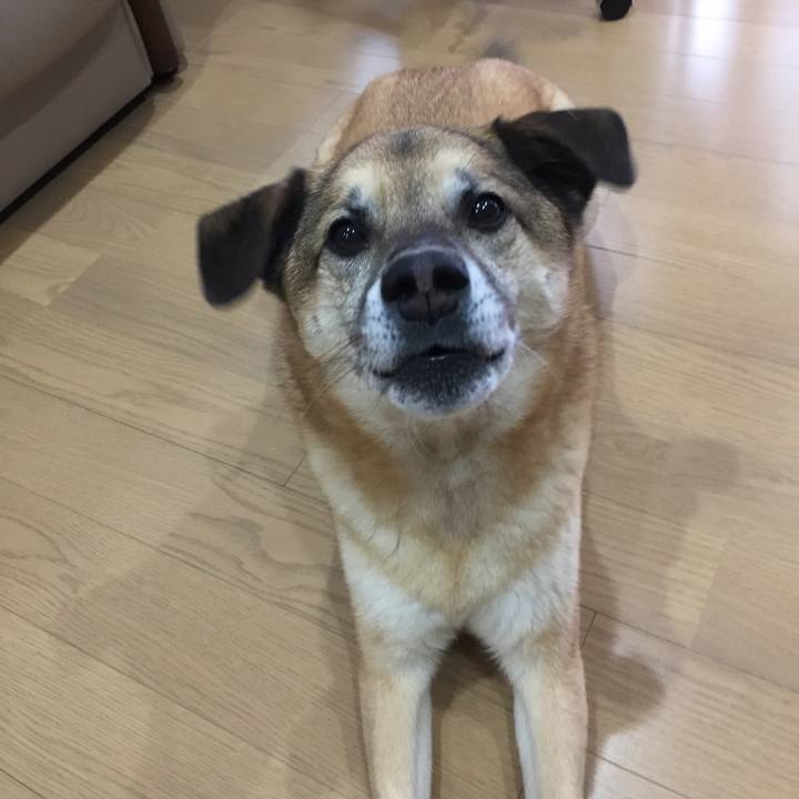 Fa1a602b 2183 45a9 8ad3 81956a7a4b72