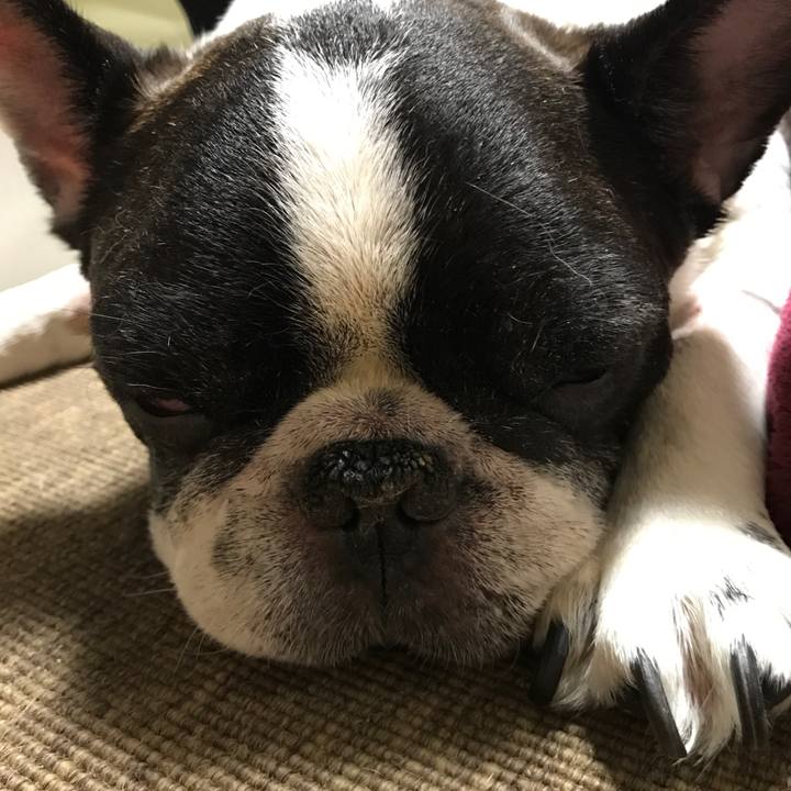 Fa1aa7af c28d 4e05 98a8 b14aa5ab9943