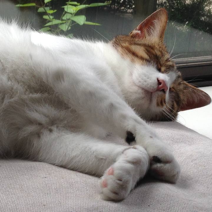 Fa1b33e1 d05b 4315 82ae 64584182105b