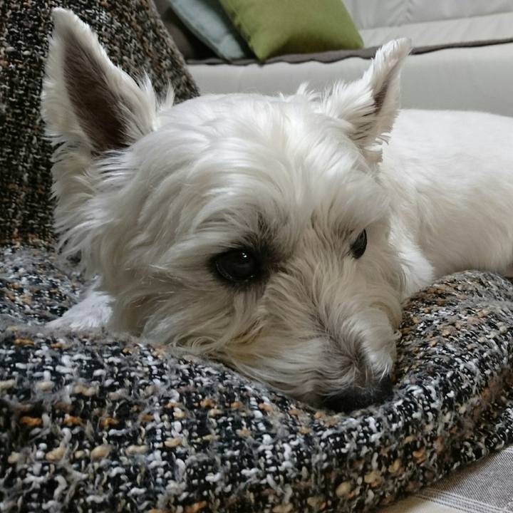 Fa1b4bdb 8374 49fd a236 95a64a47db1d