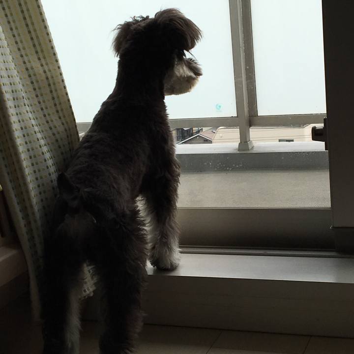 Fa1b6288 22f1 469d 8cbb 6c0aa31d9fc8