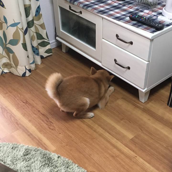 Fa1bc435 18af 4fe7 a4f3 1903e68a8faf