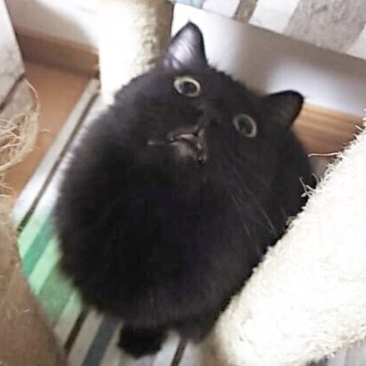 Fa1beb1c 1453 49ac 9571 4798255af76e