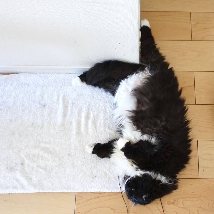 Fa1bec9b 9345 41a7 8127 ac24419269a7