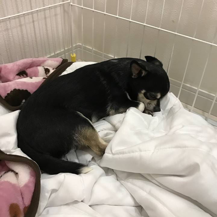 Fa1bed18 7194 46c3 a52f 3414a970b119