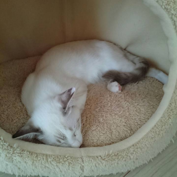 Fa1bffd1 81a2 4d08 b05a fc9382ee5b8d