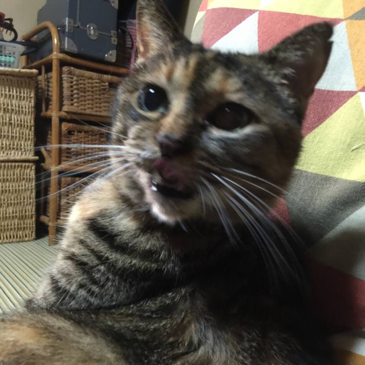 Fa1c7b0e 070e 4176 96e9 34b36be10793