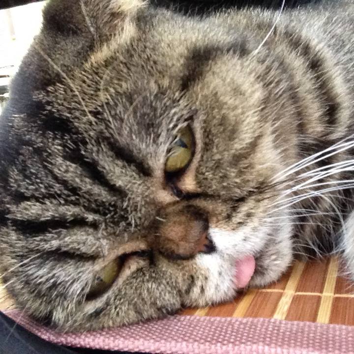 Fa1c9e77 0b3a 425b a83c 85148e324ec4