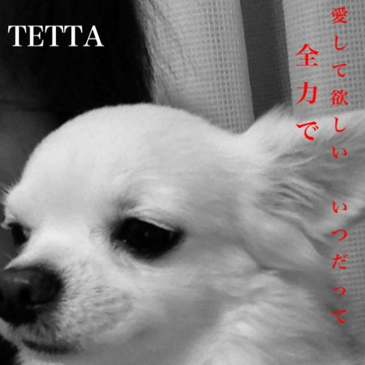 Fa1cf913 bbed 479b b57b 6d949eb6ef0a