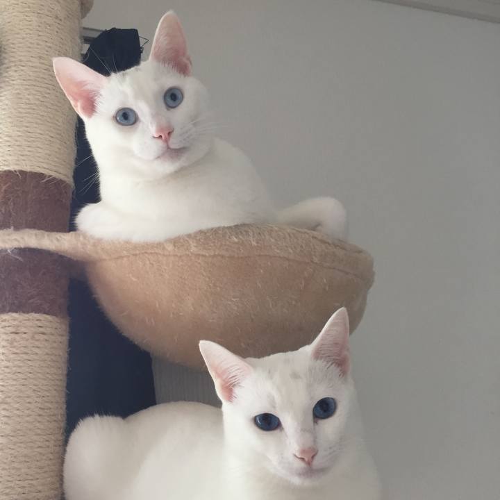 Fa1d6356 6c12 4b29 b3fb 06b1c5d76a89