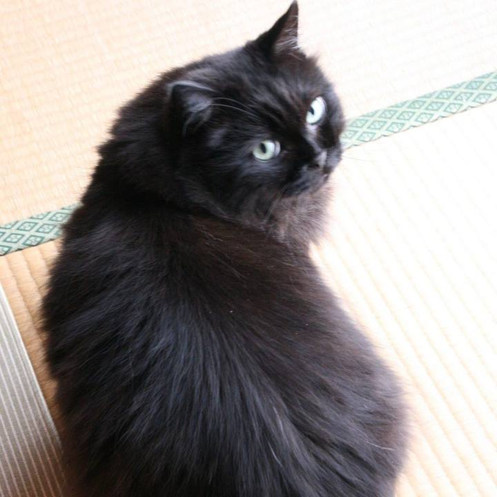 Fa1d8351 778e 4420 bc5c 5b3fb3596531