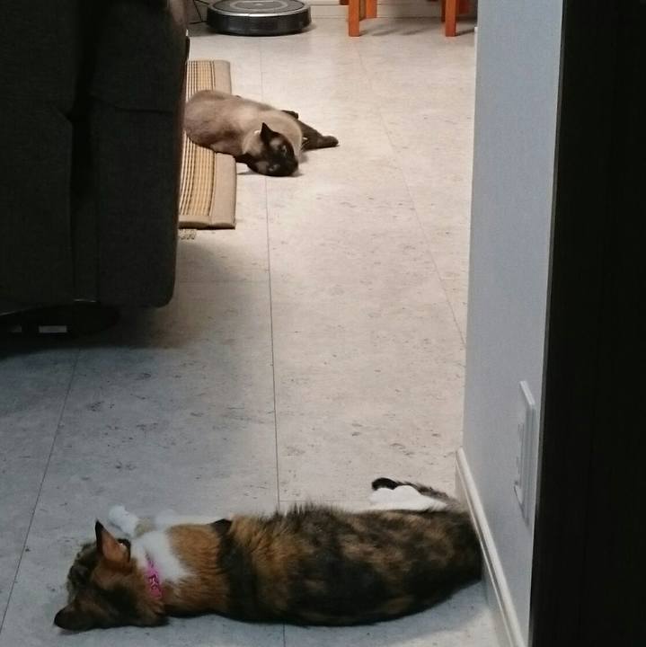 Fa1d948e 3289 4771 9613 ea023198a1c7