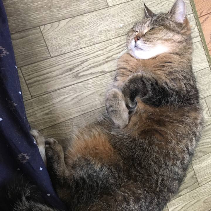 Fa1dbbcc 055c 43d4 a63d 275c5f18023f