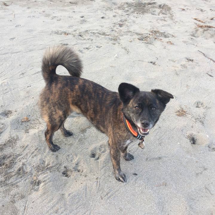 Fa1dcf1a d708 4cc5 8a59 d5259408954d