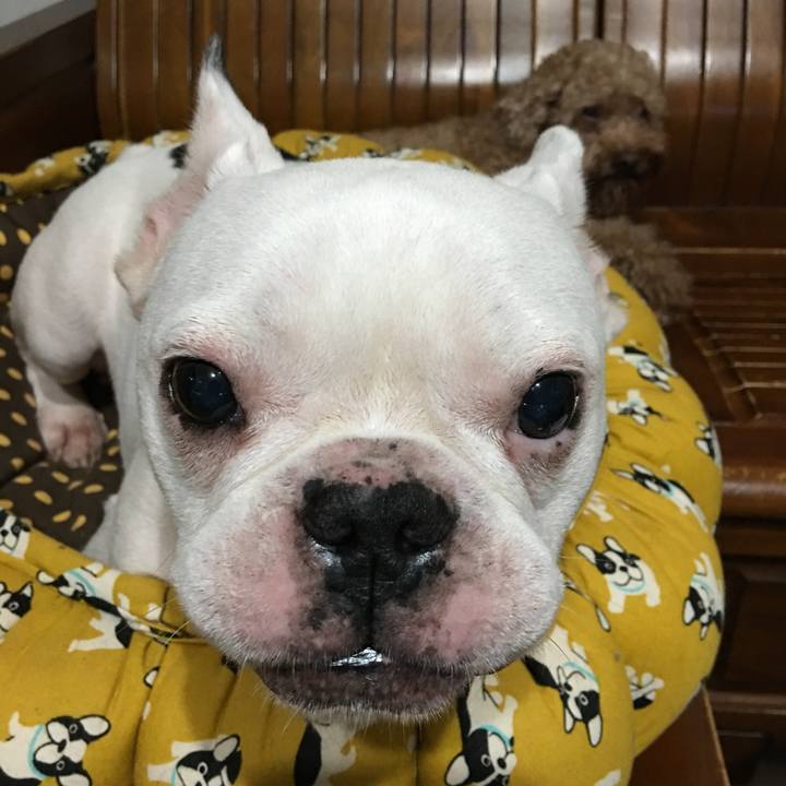 Fa1eb9b3 cf8e 4bc4 b6e9 0ad18532a284