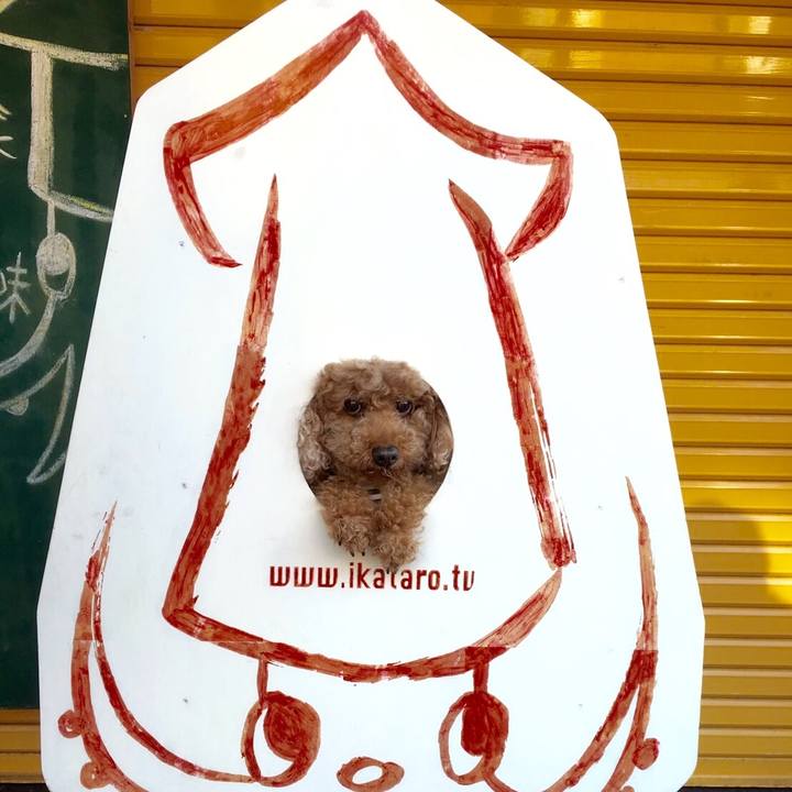 Fa1f14f2 89e8 4ac1 b69f b9b5baf42f84