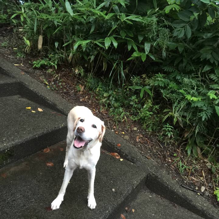 Fa1f36d5 962d 4ec1 9cc7 74b7dfce2c99