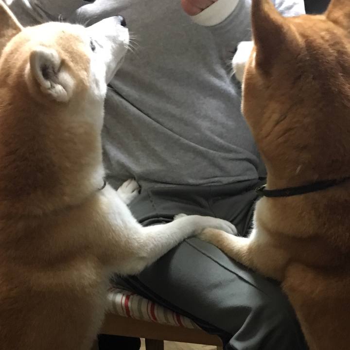 Fa1ff894 559b 4808 9c21 f03a1af5a14c