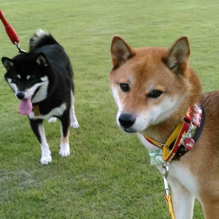 Fa209eb6 8d0a 40f0 a8df 990e78203df5