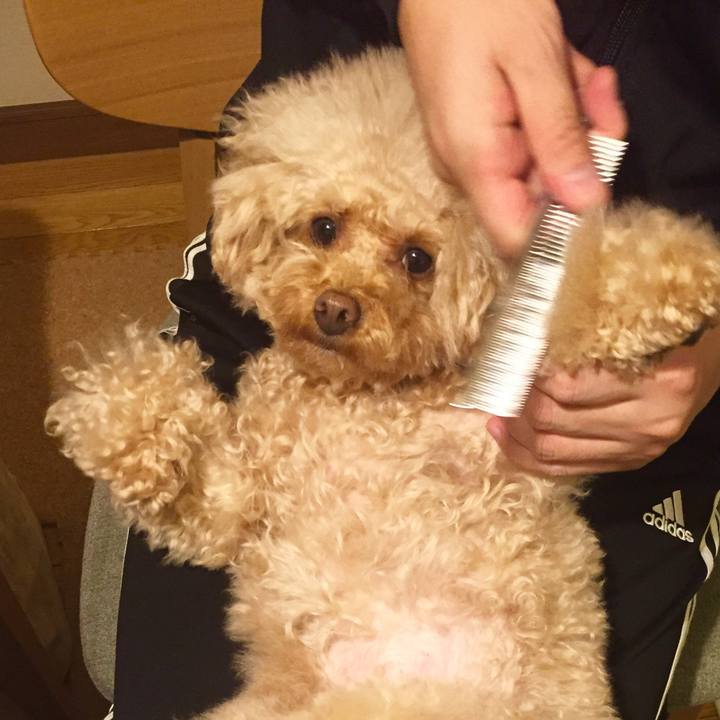 Fa20cd40 eeb1 4b5c b3a3 b288c34e857a