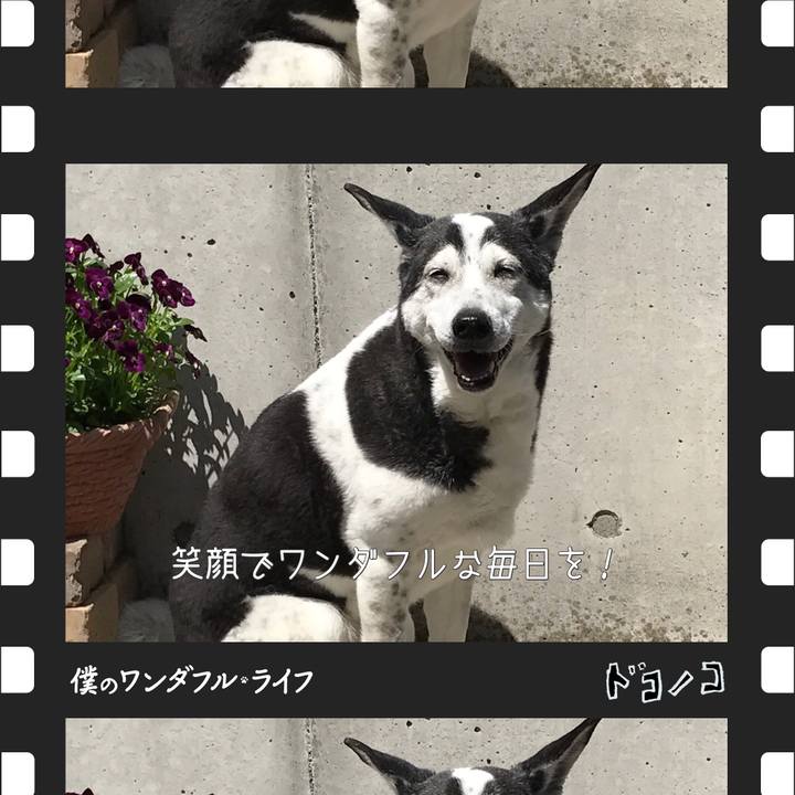 Fa210154 f2df 431d a418 620a1a9f0778