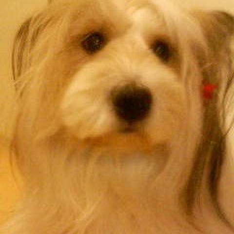 Fa211a70 7e3e 45d7 a42d 1332bb114181