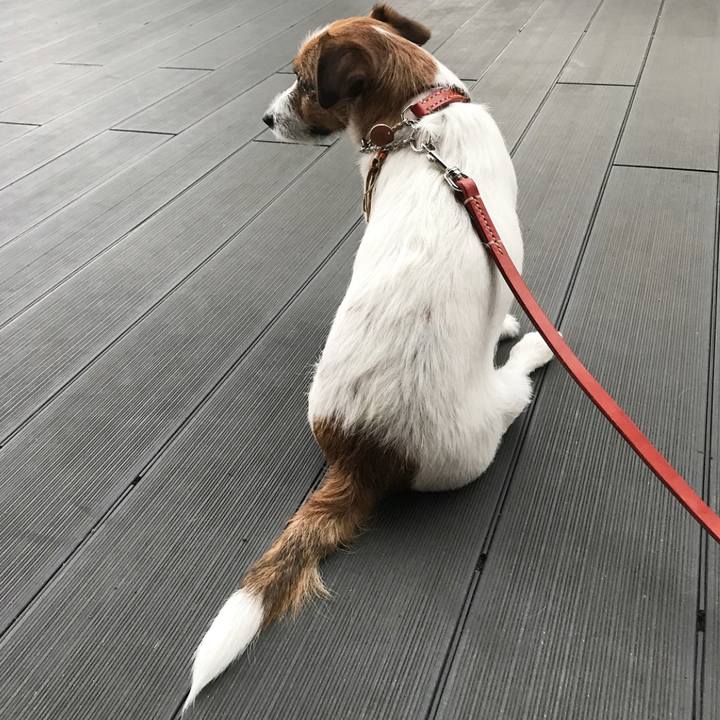 Fa21426c 5462 4cc6 9a51 c14704970995