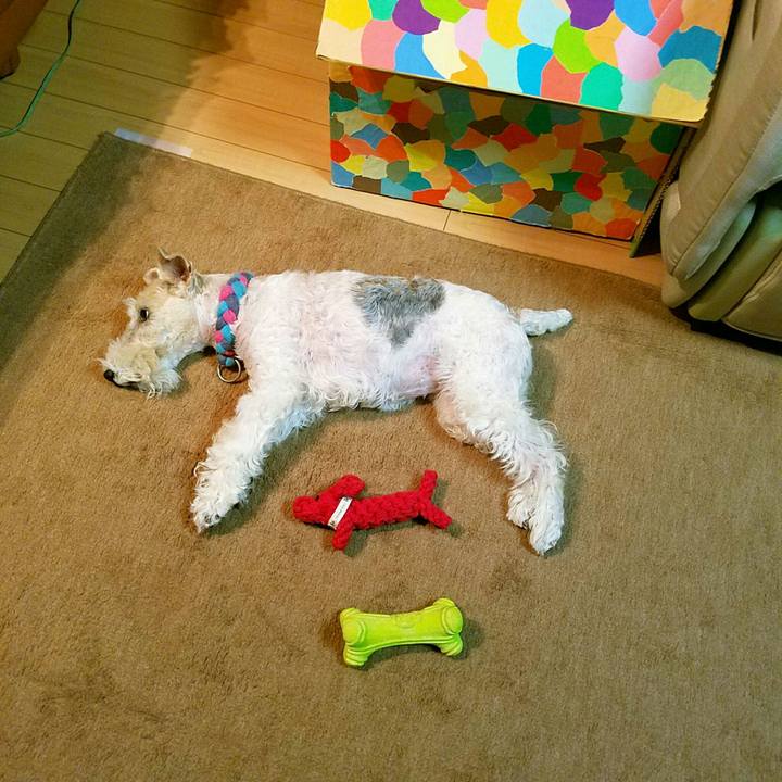 Fa219775 4239 45e6 9a37 07d79289861d