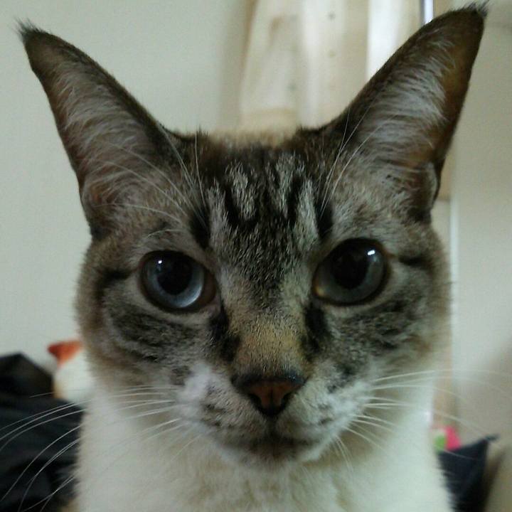 Fa21e1e0 c0eb 4003 a28c 33c0ccf5216d