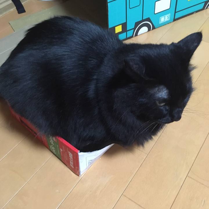 Fa229761 c25d 41cc bb20 21ca154b3f1b