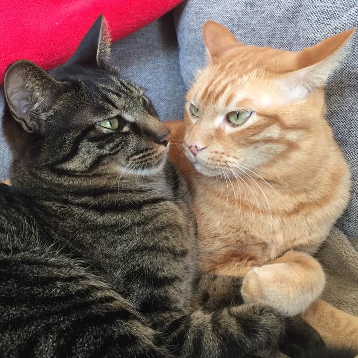 Fa22d3a7 695e 495c b3ed 03ac733e2846