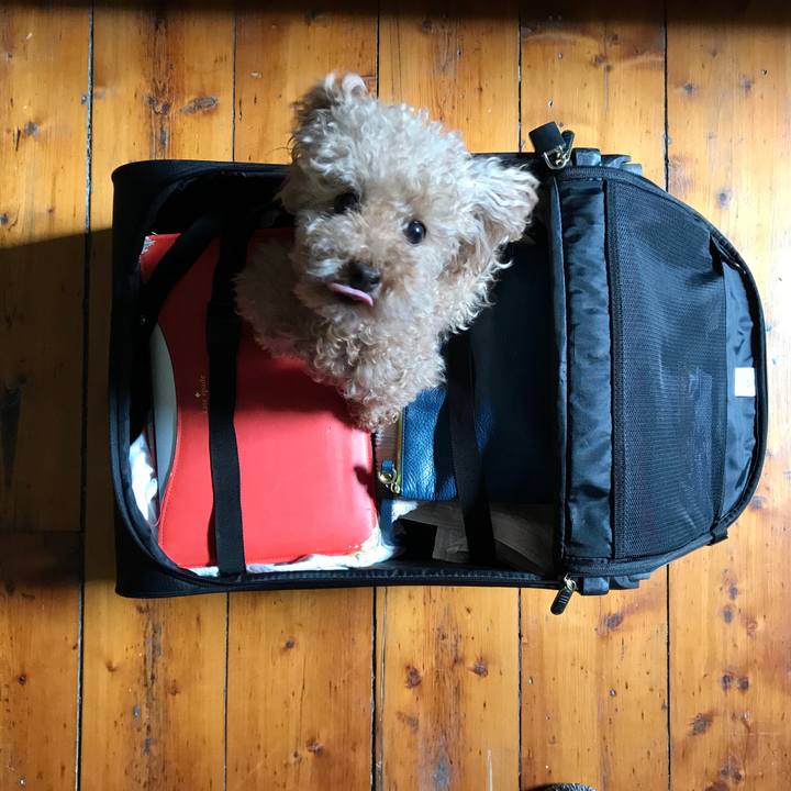 Fa23a40a bfdb 4e7d 9ade 5b4feb4fef1c