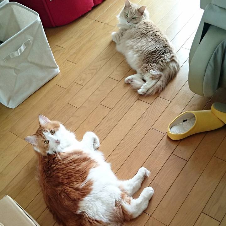 Fa241825 8edd 49cc 90a9 5be85fcdd317