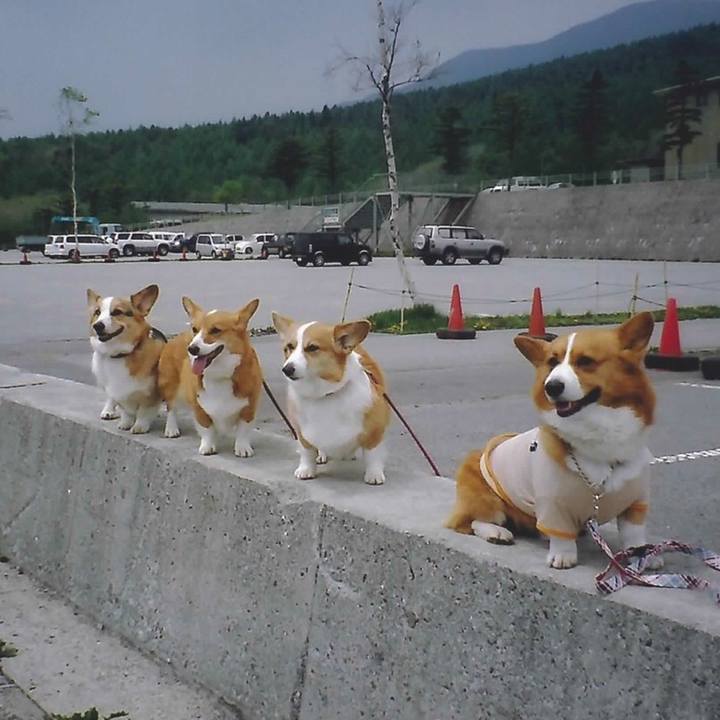 Fa243f1d 8958 4199 b2a7 92fd5eb2ba40