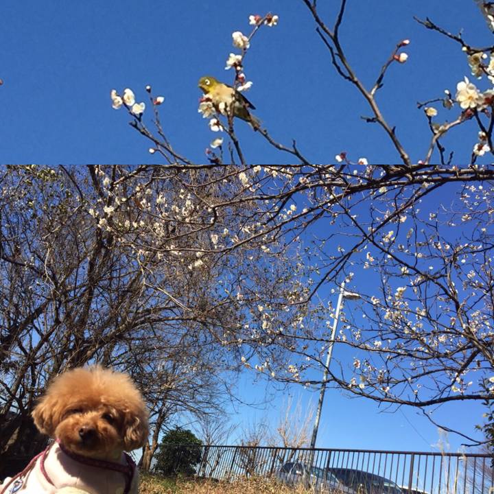 Fa246840 1472 4728 b6b6 559252ce6098