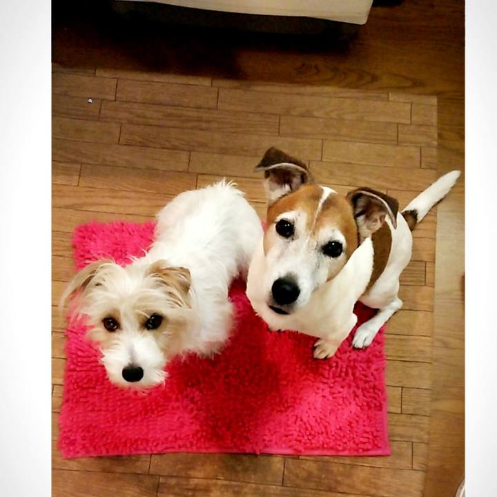 Fa250731 5392 42bb 93e3 77e02971ef22