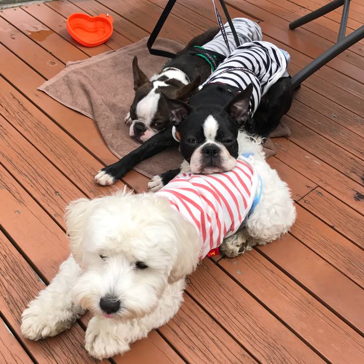 Fa266480 4dea 4c58 8173 e28bcd1f2fa6