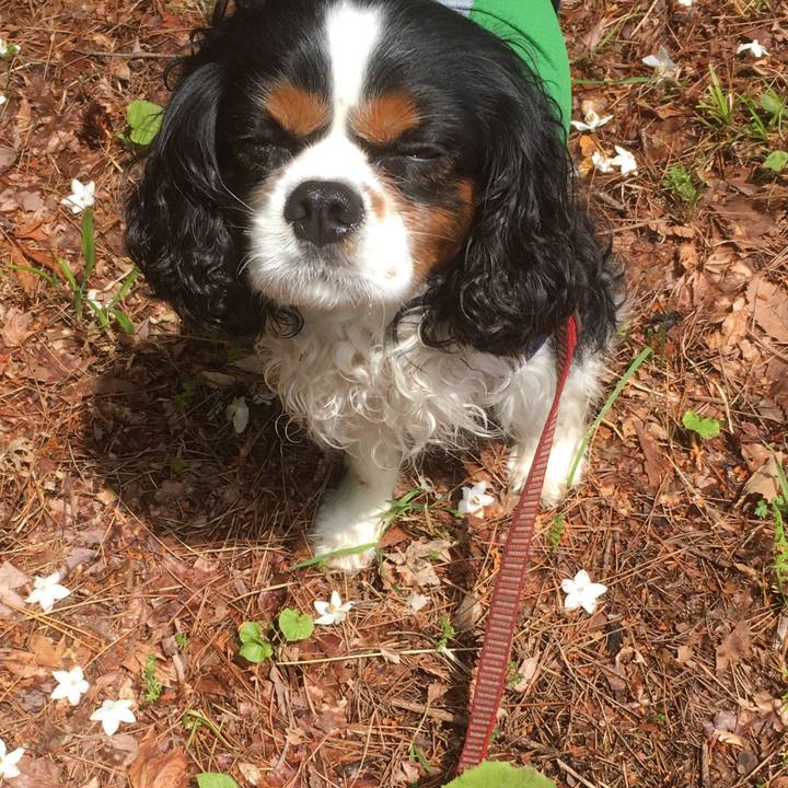 Fa274048 42fa 4e84 ad4e cc76761dd88e