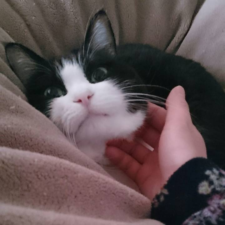 Fa27b894 0142 4f28 8198 3c56a67df06d