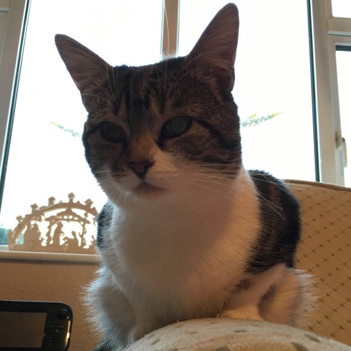 Fa27ed89 38c4 4613 b348 51f25e0395ba