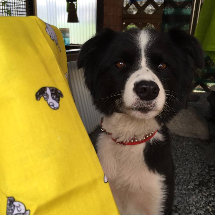 Fa29058c cd1f 4d10 95b6 f17211612cc8