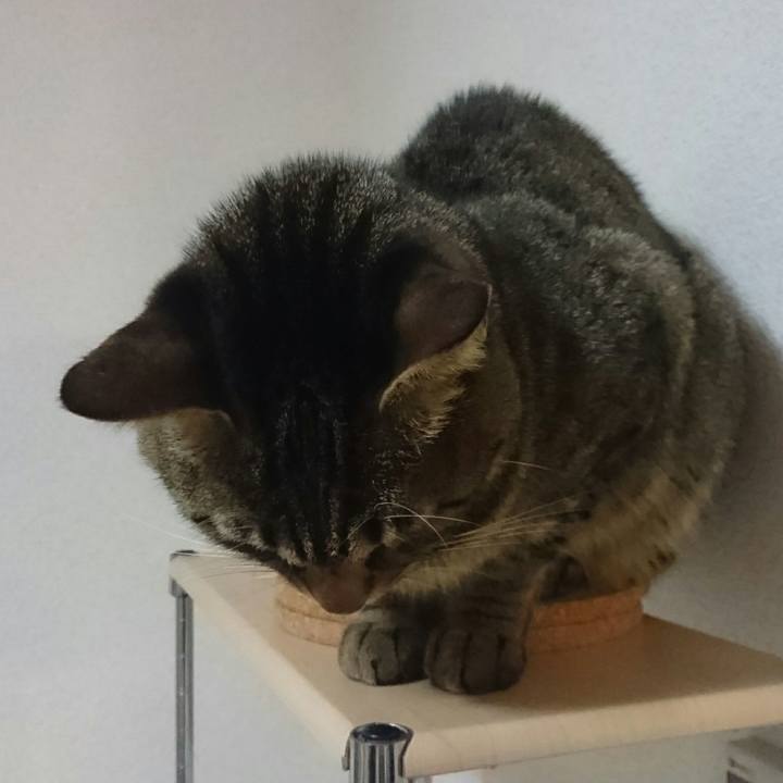 Fa29fc10 2b51 4cfe 8f07 79811dda7438