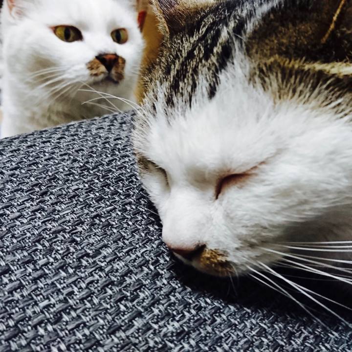 Fa2a535e 1f8b 4e72 a68b ec77f57e6017