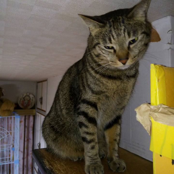 Fa2b206d 0134 4be5 808e 6bd0a6795951