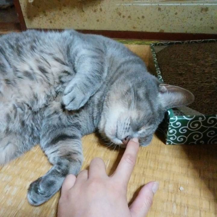 Fa2b92af 8e0d 44b6 8f67 d5c3881de58f